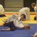 Judo-actie